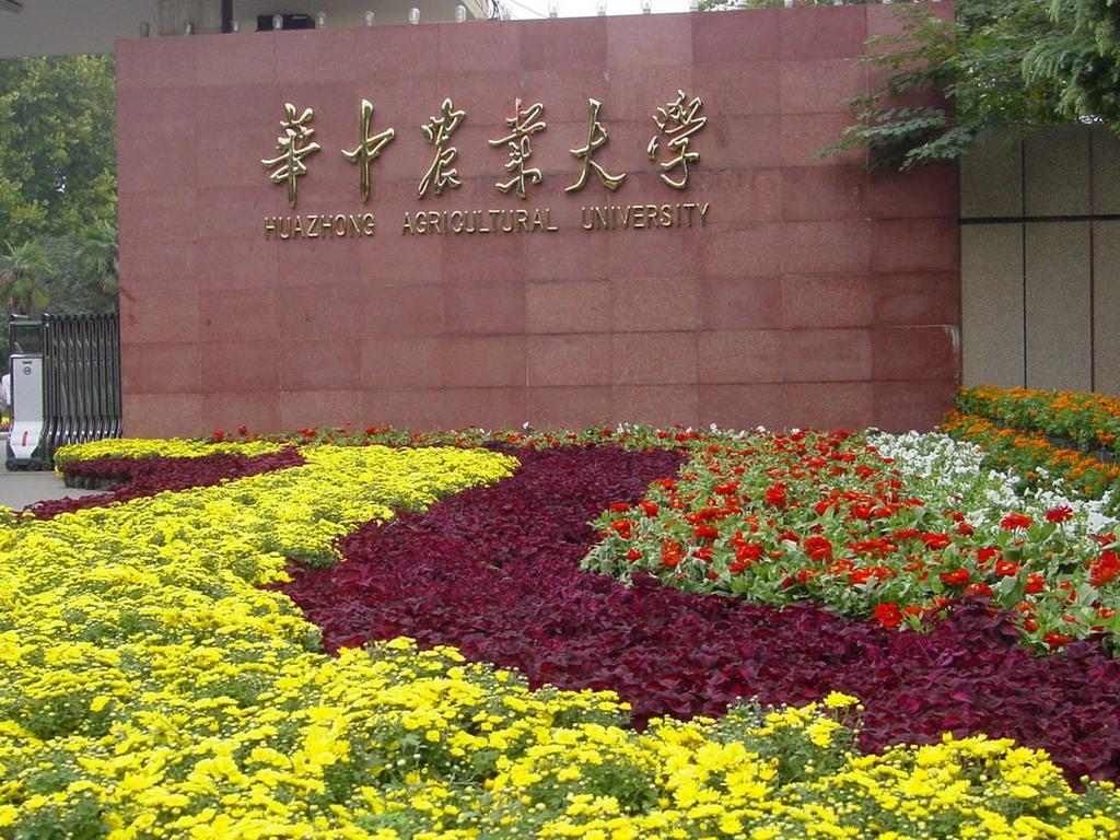 华中农业大学研究生一体化