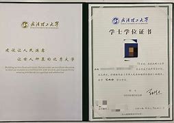新疆大学文凭在企业能认可吗