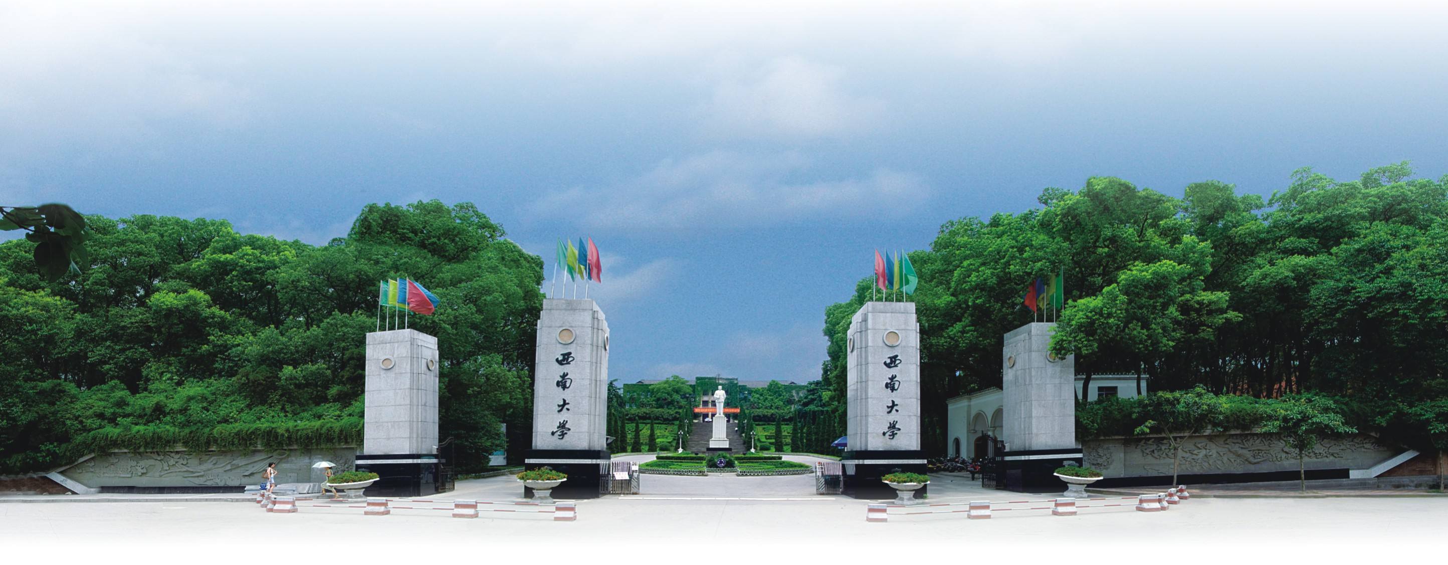 西南大学毕业证查询系统