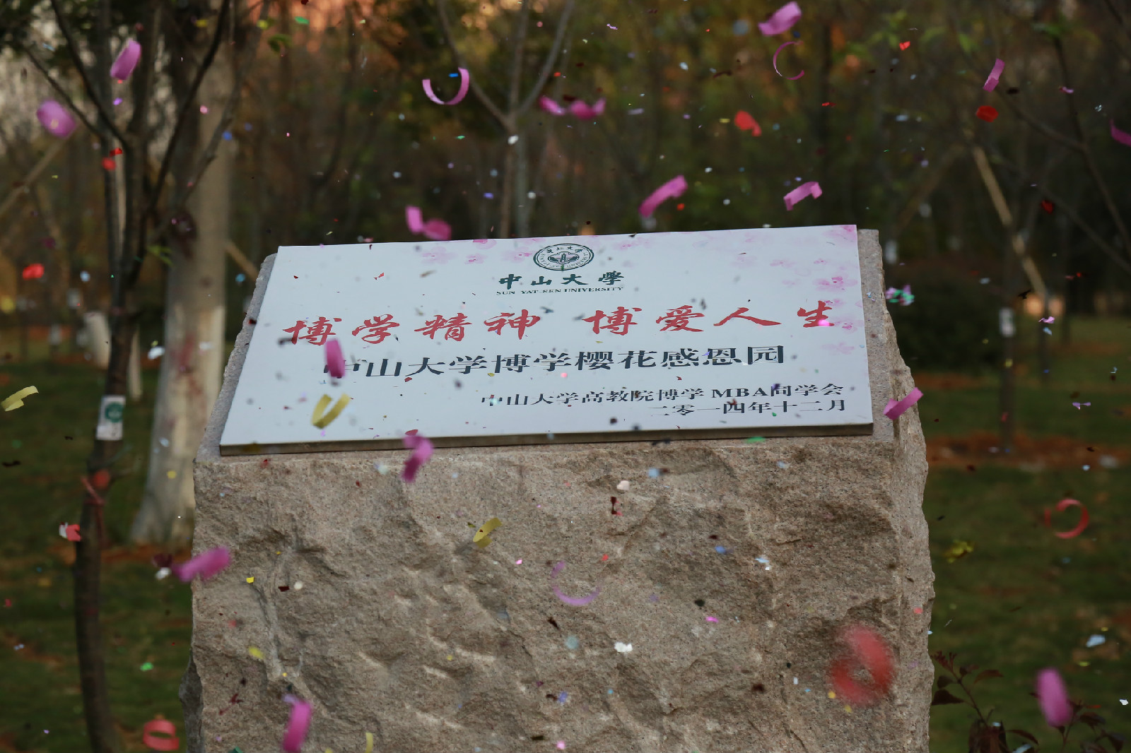 中山大学学历证书