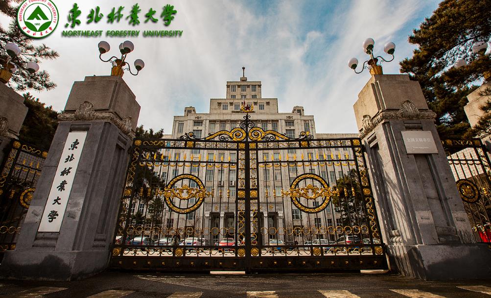 东北林业大学文凭好考吗