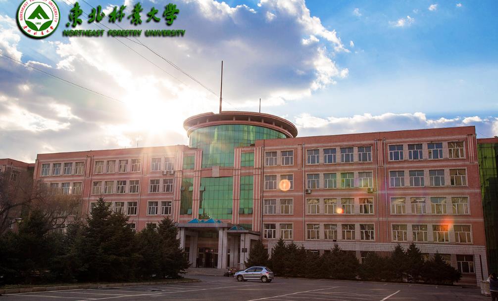 东北林业大学文凭好考吗