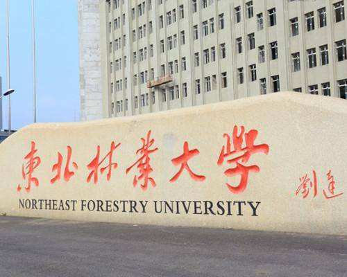 东北林业大学研招网
