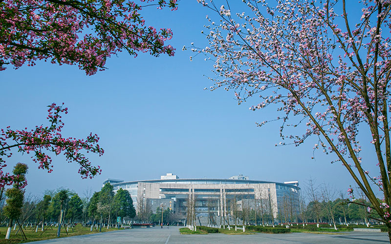 西南交通大学张建平谈低空经济