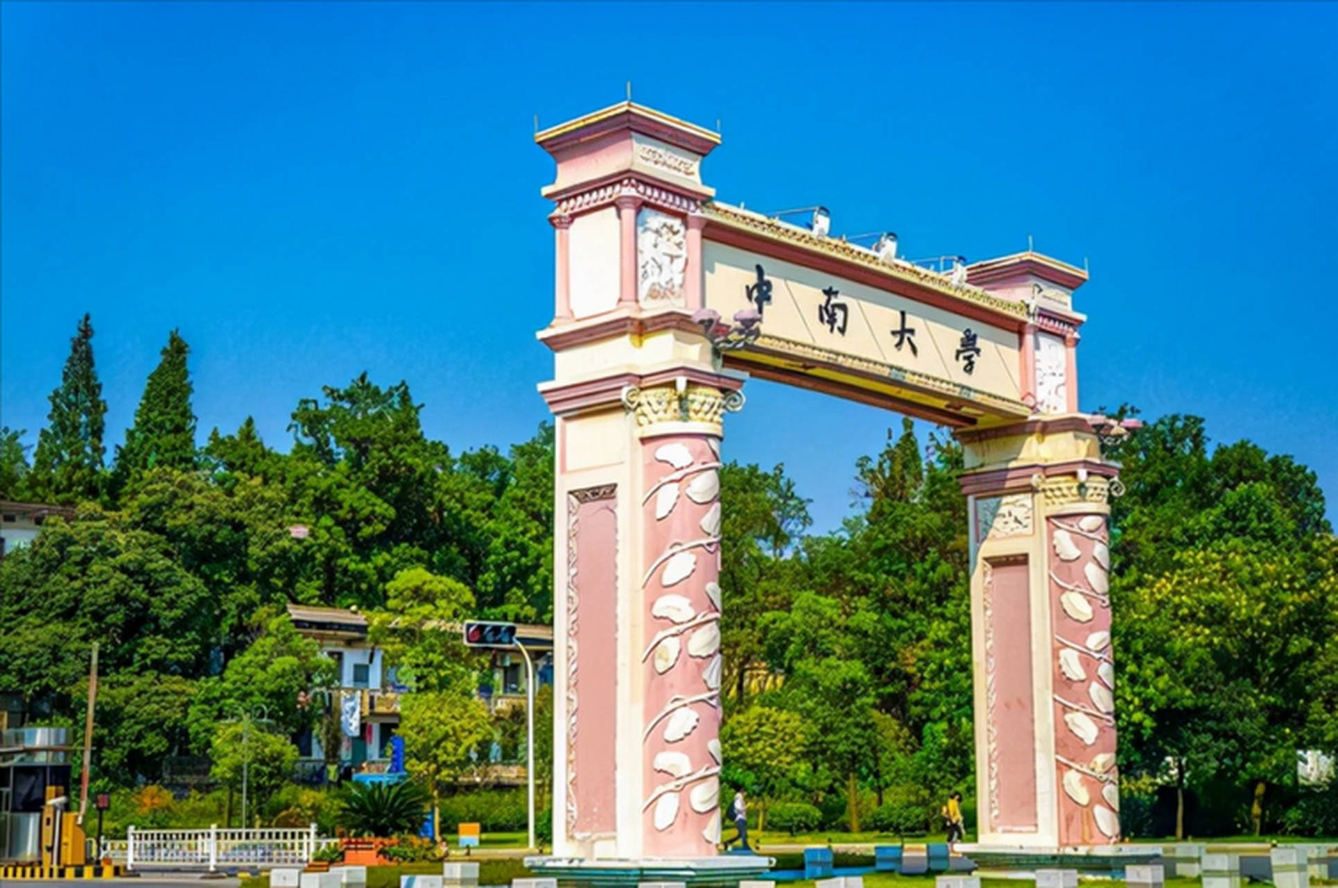 中南大学团队创新研究