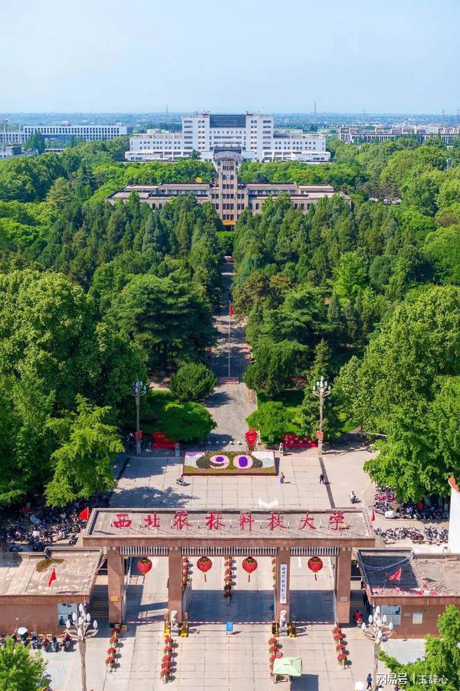 西北农林科技大学文凭报考条件