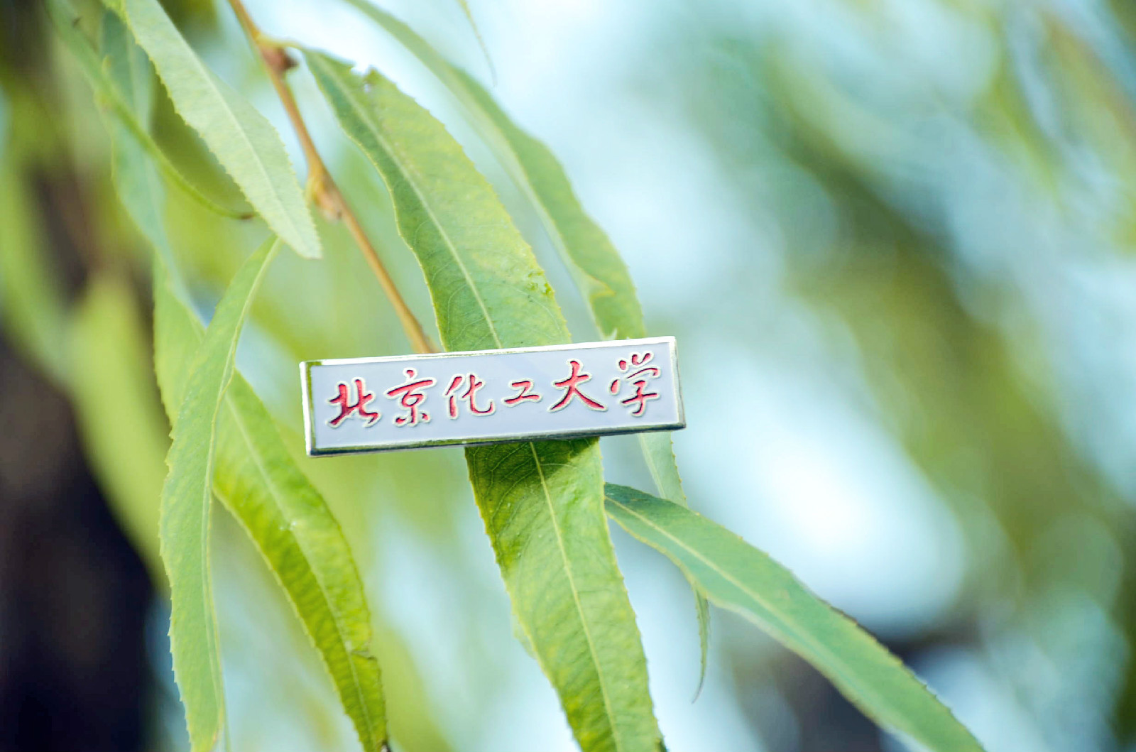 北京化工学校毕业证