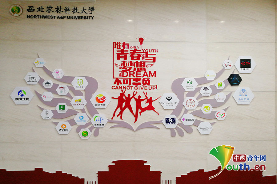 西北农林科技大学学位证书