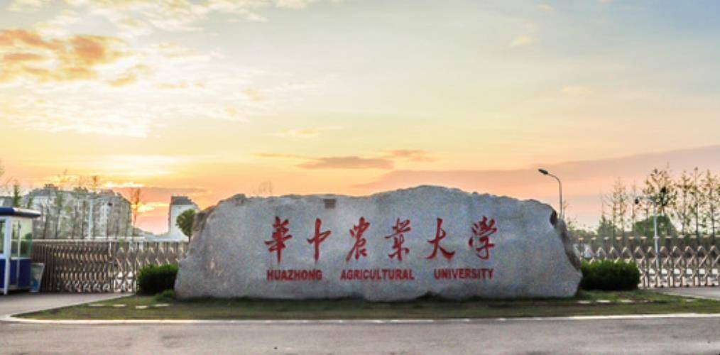 华中农业大学信息门户