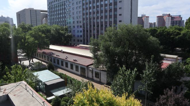 北京林业大学在读本科生